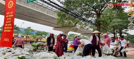 Chung tay giải cứu nông sản cho nông dân Hải Dương