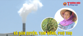 Xã Dân Quyền - Tam Nông - Phú Thọ: Lúa mất mùa do khí thải nhà máy gạch?