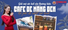 Giải mã sức hút của thương hiệu Café de Măng Đen – Cà phê đệ nhất xứ lạnh