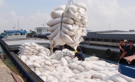 Gạo xuất khẩu của Việt Nam được đánh giá cao nhất thế giới