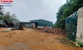 Thanh Hóa: Yêu cầu dừng sản xuất xưởng keo băm ở làng Nhỏi, xã Cao Ngọc sau phản ánh của TH&PL 