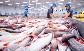 Canada tăng nhập khẩu cá tra từ Việt Nam