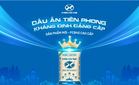 Xi măng Xuân Thành PCB40 cao cấp: Dấu ấn tiên phong, khẳng định đẳng cấp