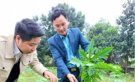 HTX Nông nghiệp thực phẩm Thanh Lâm Phú Thọ: Chuyển dịch cơ cấu kinh tế nông thôn, tạo sinh kế bền vững cho người dân