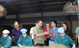 Hợp tác xã Miến Việt Cường: Mô hình HTX điển hình thúc đẩy kinh tế từ sản phẩm truyền thống ở Thái Nguyên