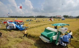 5 trụ cột chiến lược phát triển bền vững vùng Đồng bằng sông Cửu Long