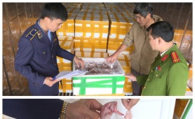 Thu giữ hơn 10 tấn cá khoai chứa chất Formol nguy hại đến sức khỏe người tiêu dùng