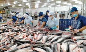 Xuất khẩu thủy sản Việt Nam lần đầu vượt mốc lịch sử 11 tỷ USD