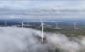 Bầu Hiển chính thức đưa dòng điện sạch xuyên biên giới từ Lào về Việt Nam