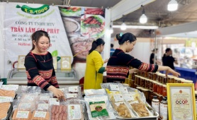 Gia Lai: Thúc đẩy quảng bá và tiêu thụ sản phẩm đặc trưng, tiềm năng 