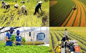 Loạt chính sách mới chính thức áp dụng từ tháng 1/2026