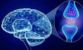 Tăng cường serotonin cho não bộ – Chìa khóa vàng giúp cải thiện mất ngủ