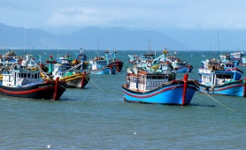 Kiên quyết gỡ 'Thẻ vàng', bảo vệ uy tín quốc gia và sinh kế bền vững cho ngư dân