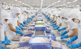 Top 10 doanh nghiệp xuất khẩu thủy sản lớn nhất năm 2025