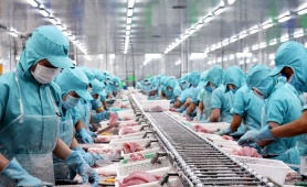 Xuất khẩu thủy sản Việt Nam bước vào giai đoạn mới