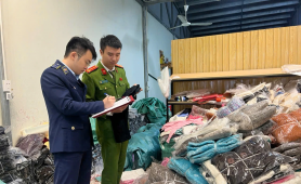 Thanh Hóa: Thu giữ nhiều sản phẩm không rõ nguồn gốc