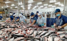 Xuất khẩu cá tra và surimi  - 'chìa khóa' bứt phá thị trường năm 2026