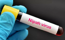 Bộ Y tế yêu cầu cách ly nghiêm ngặt các trường hợp nghi ngờ mắc virus Nipah