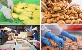 Ngành Nông nghiệp và Môi trường đặt mục tiêu xuất khẩu 74 tỷ USD trong năm 2026