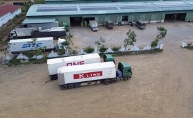 Hải quan triển khai trực 24/7: Ưu tiên thông quan thực phẩm nhập khẩu dịp cao điểm cuối năm