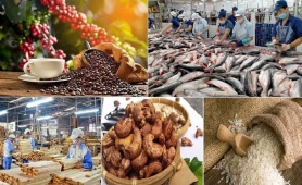 Xuất khẩu nông lâm thủy sản đạt 6,51 tỷ USD trong tháng 1