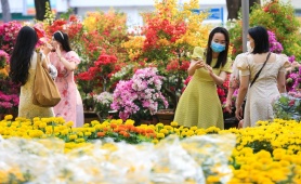 ROX Living Diễn Châu: Điểm hẹn lễ hội và không gian sống – kinh doanh mới của Bắc Nghệ An