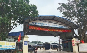 Vụ tiêu thụ 300 tấn lợn bệnh: Cục Chăn nuôi và Thú y sẽ lập đoàn kiểm tra các cơ sở giết mổ 