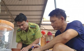 Thanh Hóa: Thu giữ 23 cây muội hồng không rõ nguồn gốc tại nhà dân