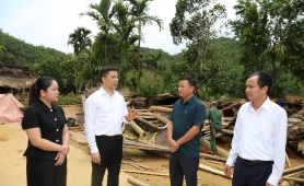 Thanh Hoá: Một học sinh tử vong do mưa lớn kèm dông lốc mạnh 