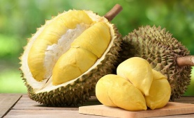 Quy định SPS trở thành “giấy thông hành” cho nông sản xuất khẩu