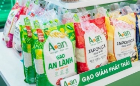 Xây dựng nhãn hiệu “Gạo Việt Xanh phát thải thấp”, nâng tầm hạt gạo Việt