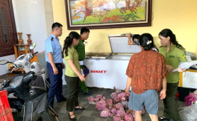 Thanh Hóa: Phát hiện 290 cá thể cò hương cấp đông chờ đưa đi tiêu thụ