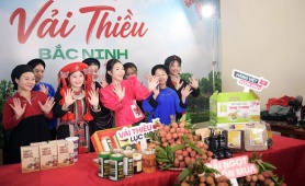 Chất lượng và chuyển đổi số là “giấy thông hành” cho vải thiều Bắc Ninh