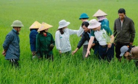 Từ 3,4 triệu hộ sản xuất giỏi, Hội Nông dân đặt mục tiêu hình thành 5.000 doanh nghiệp nông nghiệp