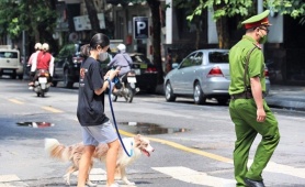 Từ 1/8, phạt tới 2 triệu đồng nếu dắt chó ra đường không rọ mõm