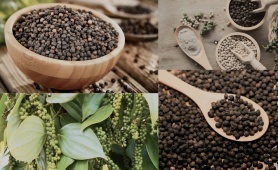 Xuất khẩu tăng tốc, doanh nghiệp hồ tiêu chủ động 'lá chắn' phòng ngừa rủi ro