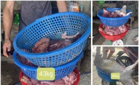 Thanh Hóa khởi tố 3 đối tượng mua bán, giết mổ lợn dịch bán ra thị trường