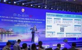 'Sức mạnh mềm' từ không gian văn hóa trà của hệ sinh thái thương hiệu DoiDep bên lề Hội nghị Kinh tế toàn cầu