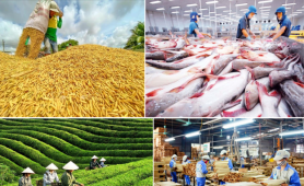 Ngành nông nghiệp và môi trường phải tiên phong chuyển đổi số