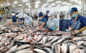 Xuất khẩu thủy sản khởi sắc, hướng tới mục tiêu 12 tỷ USD