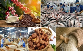 Xuất khẩu nông, lâm, thủy sản tăng trưởng ấn tượng, đạt gần 42,8 tỷ USD