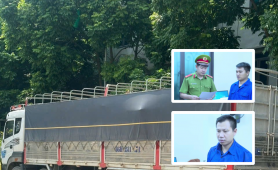 Hưng Yên: Khởi tố, bắt tạm giam 2 người liên quan hơn 18m³ gỗ