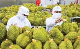 Xuất khẩu rau quả Việt Nam tăng trưởng mạnh, hướng đến mốc 10 tỷ USD