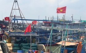 Nghệ An thực hiện nghiêm túc các khuyến nghị về chống khai thác IUU