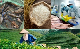 Nâng chuẩn chất lượng, chìa khóa để hàng Việt chinh phục thị trường Bắc Âu