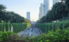 Hà Nội định hướng mỗi tuyến phố trồng một loài cây chủ đạo 