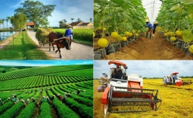 Quy định mới nhất về cơ chế phát triển sản xuất liên kết theo chuỗi giá trị