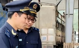 Hải quan kiến nghị tháo gỡ vướng mắc đối với urê nhập khẩu