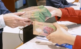Đề xuất chính sách đặc thù đối với người nộp thuế ngừng kinh doanh nhưng chưa đóng mã số thuế
