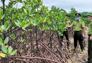Quảng Ninh xây dựng chính sách đặc thù về lĩnh vực nông nghiệp